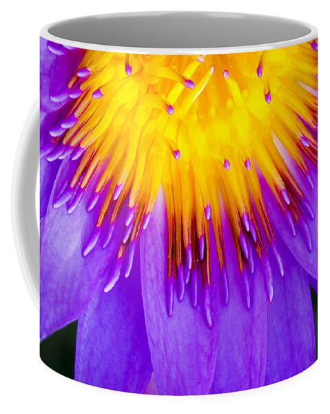  Water Coffee Mug featuring the photograph Water Lily by Will Wagner