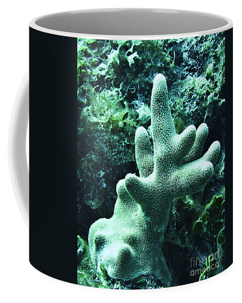 Deep Sea Coffee Mug featuring the photograph Water World two by Ken Frischkorn