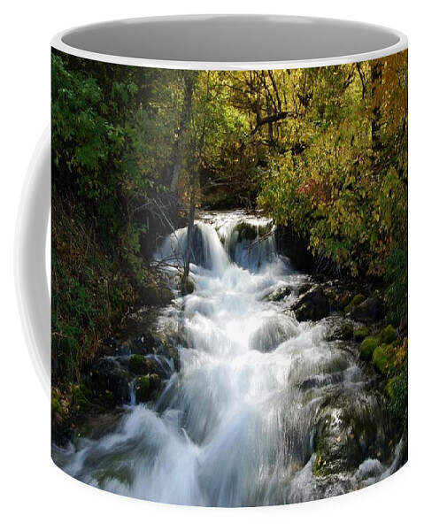 Waterfall Coffee Mug featuring the photograph Waterfall on the Little Spearfish IV by Greni Graph