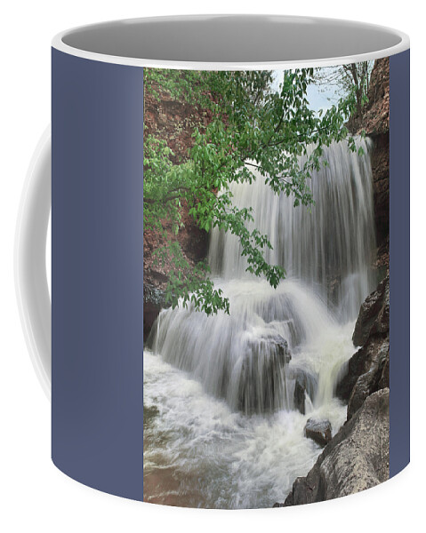 Tim Fitzharris Coffee Mug featuring the photograph Waterfall Tanyard Creek Bella Vista by Tim Fitzharris