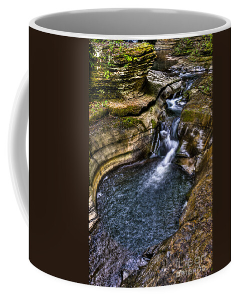 watkins Glen Coffee Mug featuring the photograph Watkins Glen Stream by Anthony Sacco