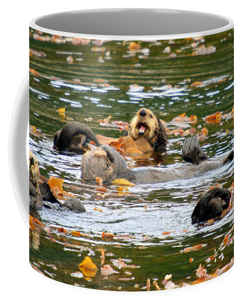 Wildlife Coffee Mug featuring the photograph We otter be in pictures by Bob Hislop