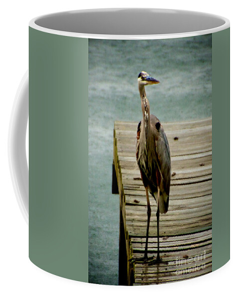 Bird Coffee Mug featuring the photograph Weather Delay by William Norton
