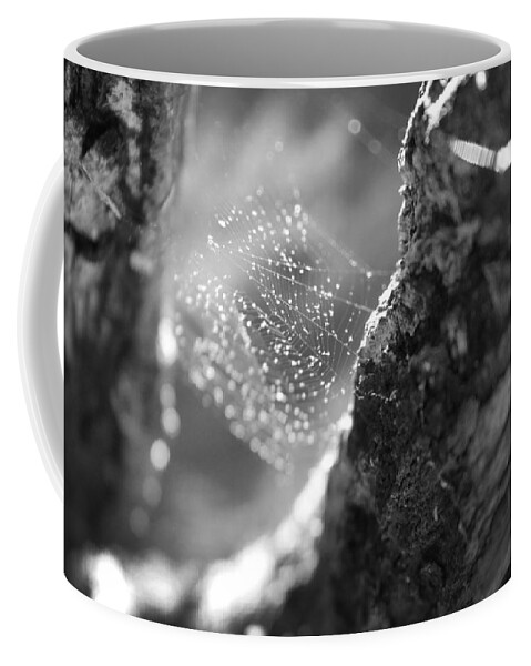 Kelly Hazel Coffee Mug featuring the photograph Web 3 by Kelly Hazel