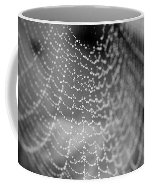 Spider Coffee Mug featuring the photograph Web in the rain by Jackson Pearson
