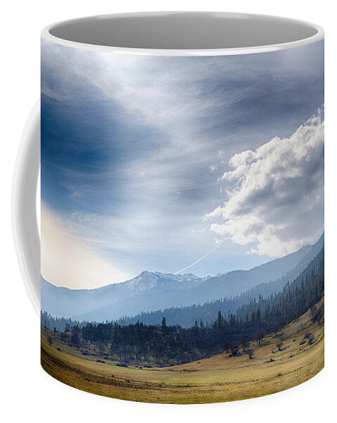 Weed Coffee Mug featuring the photograph Weed California by Digiblocks Photography