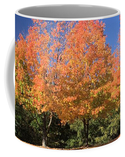 5633 Coffee Mug featuring the photograph Welcome Autumn by Gordon Elwell