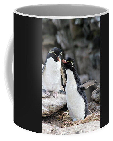 Penguins Coffee Mug featuring the photograph We're Going To Be Parents by Ginny Barklow