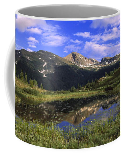 Feb0514 Coffee Mug featuring the photograph West Needle Mountains Weminuche by Tim Fitzharris
