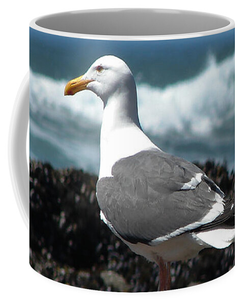 Birds Coffee Mug featuring the photograph Western Gull Profile by Carl Moore