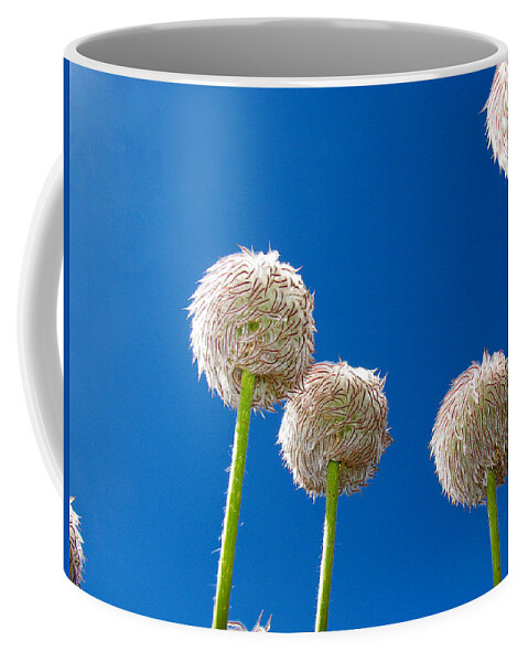 Fuzzy Coffee Mug featuring the photograph Western Pasque by Lisa Chorny