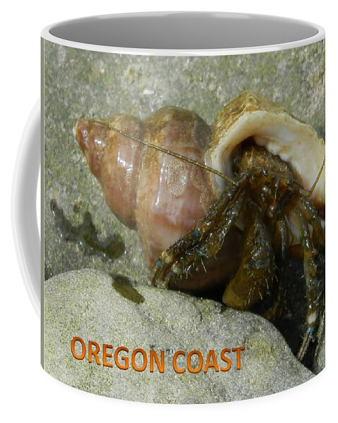 Hermit Crab Coffee Mug featuring the photograph Wet Hermit Crab by Gallery Of Hope 