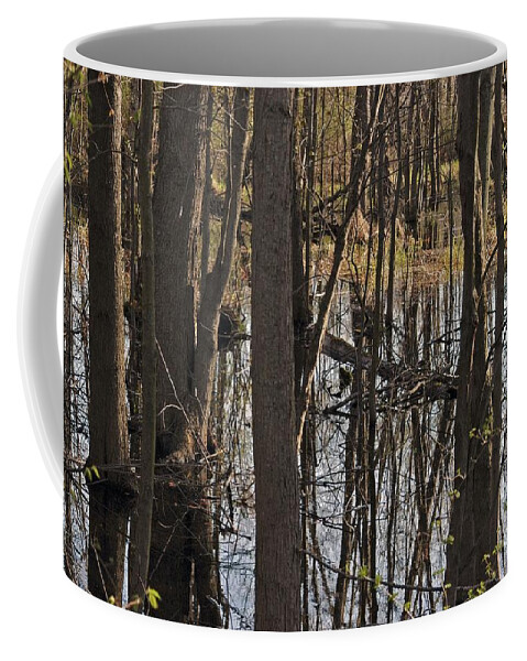 Creek Coffee Mug featuring the photograph Wetland by Joseph Yarbrough