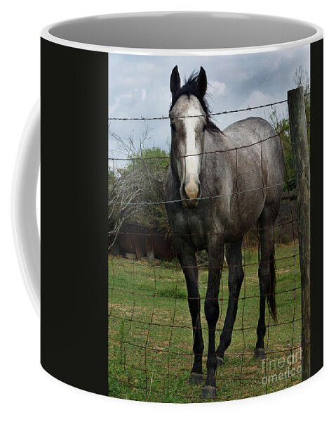 Penetrating Gaze Coffee Mug featuring the photograph What Are You Afraid Of by Peter Piatt