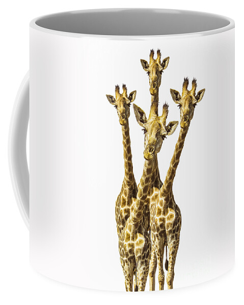 Giraffe Coffee Mug featuring the photograph What are YOU looking at? by Diane Diederich