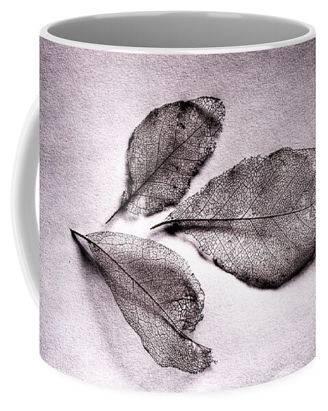 What Living Leaves Hide Coffee Mug featuring the photograph What Living Leaves Hide No Text by Weston Westmoreland