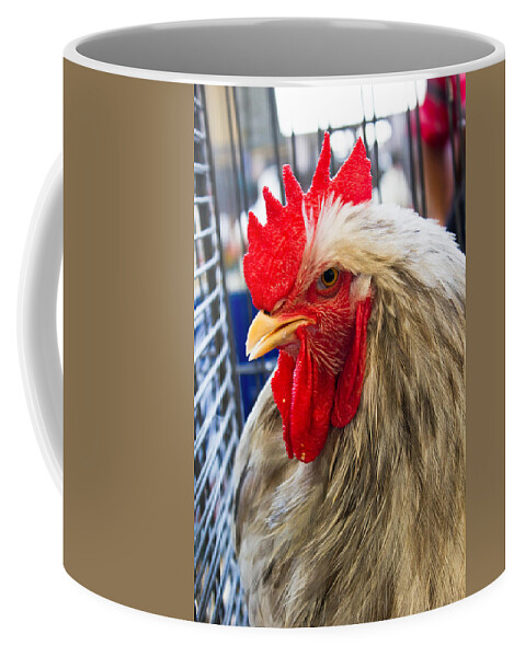 Chicken Coffee Mug featuring the photograph Whatchu Looking At by Christie Kowalski