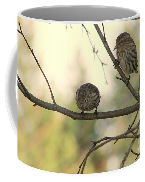 Pine Coffee Mug featuring the photograph Whats Down There by Leone Lund