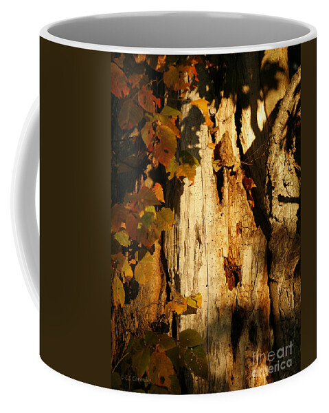 Nature Coffee Mug featuring the photograph What's in the Crevasses? by Carol Lynn Coronios