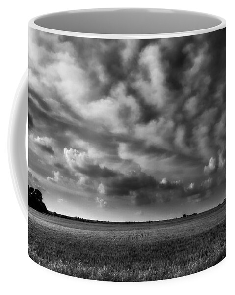 Wheat Coffee Mug featuring the photograph Wheat Black and White by Eric Benjamin