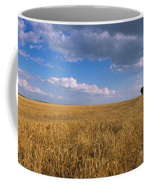 Photography Coffee Mug featuring the photograph Wheat Crop In A Field, North Dakota, Usa by Panoramic Images