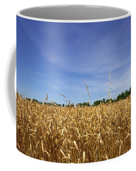 Wheat Field Coffee Mug featuring the photograph Wheat Field II by Beth Vincent
