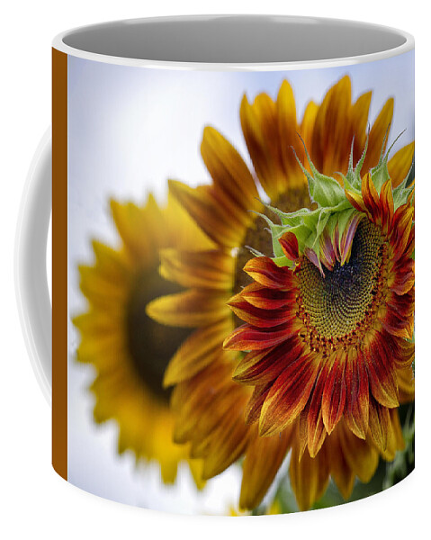 Summer Coffee Mug featuring the photograph Wheels within Wheels by Shirley Mitchell