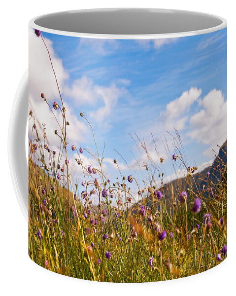 Jenny Rainbow Art Photography Coffee Mug featuring the photograph When the Sun is Shining Everything Around Smiling Towards. Scotland by Jenny Rainbow