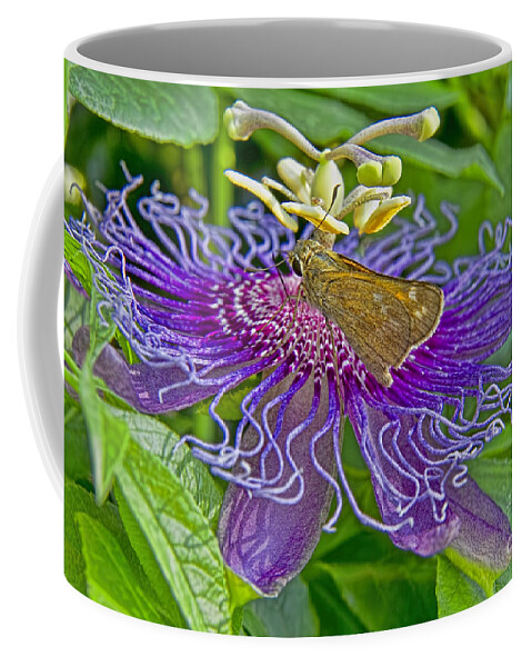 So Where Is The Nectar In This Thing Coffee Mug featuring the photograph Where Is the Nectar in This Thing by Gary Holmes