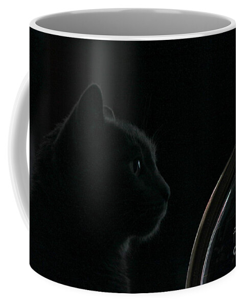 Cat Coffee Mug featuring the photograph Where on earth am I tonight by Jennifer E Doll