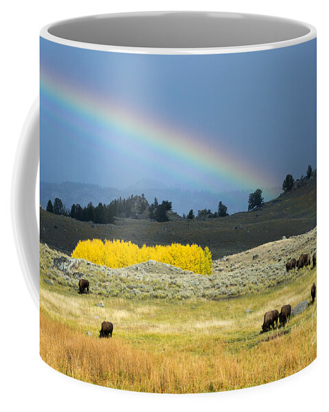 Bison Coffee Mug featuring the photograph Where the Buffalo Roam by Deby Dixon