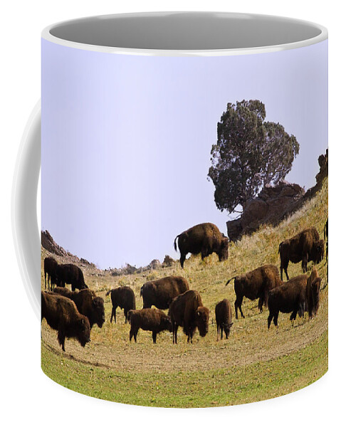 Buffalo Coffee Mug featuring the photograph Where The Buffalo Roam in Colorado by James BO Insogna