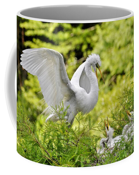 Egret Coffee Mug featuring the photograph Where's Our Lunch Ma by Kathy Baccari