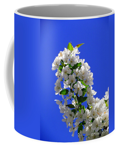Elizabeth Dow Coffee Mug featuring the photograph White and Wonderful by Elizabeth Dow