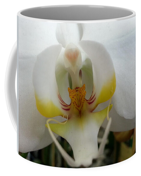 Orchid Coffee Mug featuring the photograph White and Yellow Orchid by Caryl J Bohn