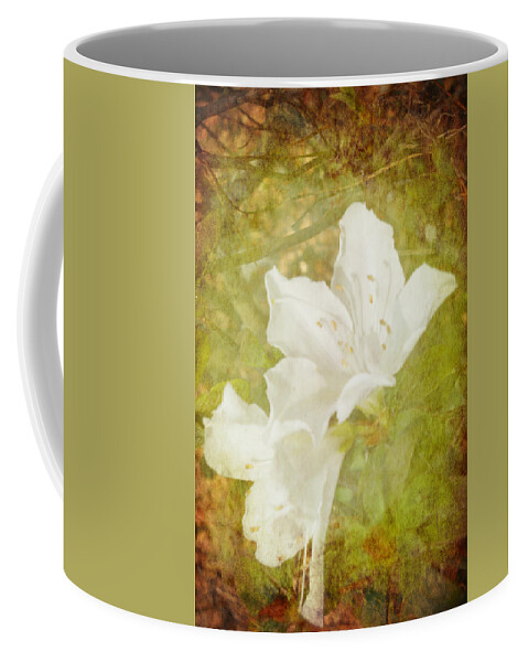 Flower Coffee Mug featuring the photograph White Azalea by Judy Hall-Folde