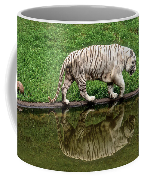 White Tiger Coffee Mug featuring the photograph White Tiger Reflections Hawaii by Venetia Featherstone-Witty