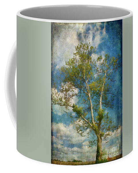 Tree Coffee Mug featuring the photograph White Birch In May by Lois Bryan