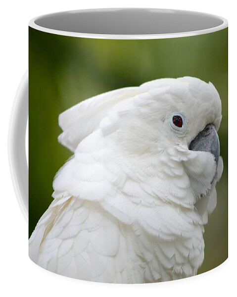 St. Augustine Coffee Mug featuring the photograph White Cockatoo Profile by Richard Bryce and Family