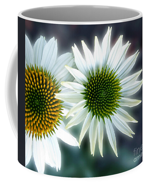Daisy Coffee Mug featuring the photograph White Conehead Daisy by Arlene Carmel