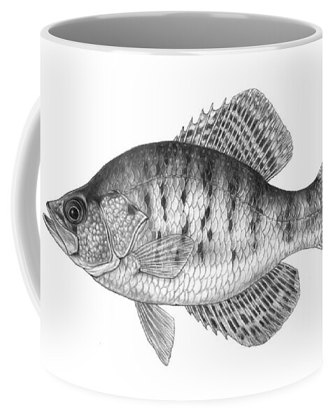 White Crappie Coffee Mug featuring the photograph White Crappie Pomoxis Annularis by Carlyn Iverson