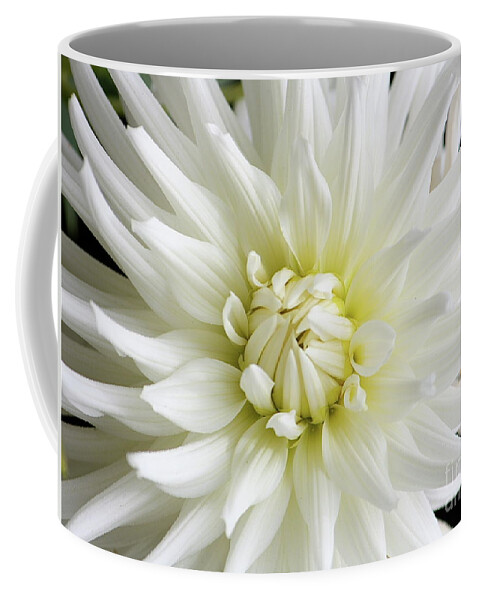 White Flowers Coffee Mug featuring the photograph White Dahlia by Lisa Billingsley
