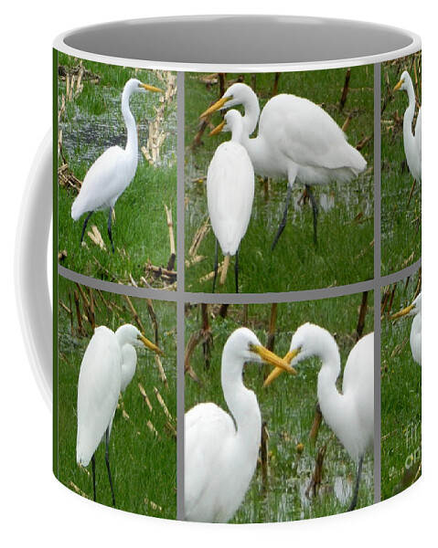 Birds Coffee Mug featuring the photograph White Egrets by Gallery Of Hope 