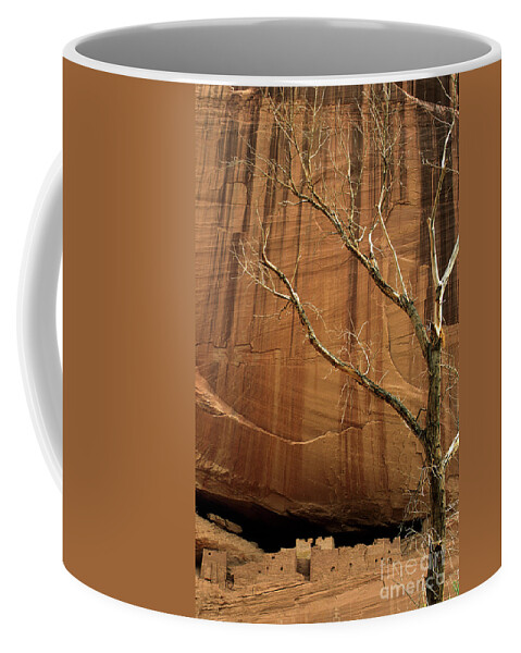 Canyon De Chelly Coffee Mug featuring the photograph White House Ruin Arizona by Bob Christopher