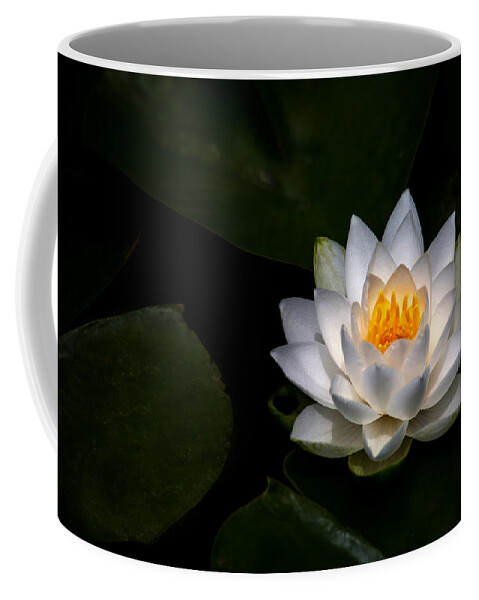 Lily Pad Coffee Mug featuring the photograph White Light by Rebecca Cozart
