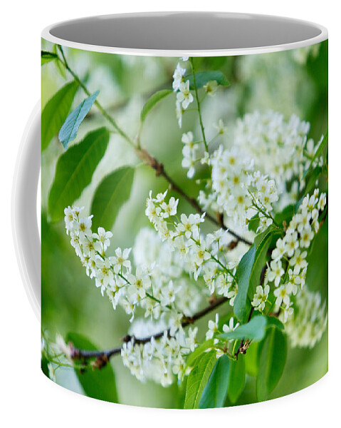 Lilac Coffee Mug featuring the photograph White Lilac by Nailia Schwarz