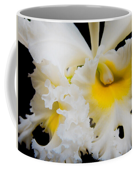 Orchid Coffee Mug featuring the photograph White Orchid 2 by Jenny Rainbow