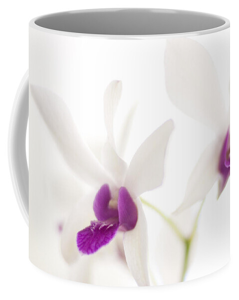 Orchid Coffee Mug featuring the photograph White Orchids by Bradley R Youngberg