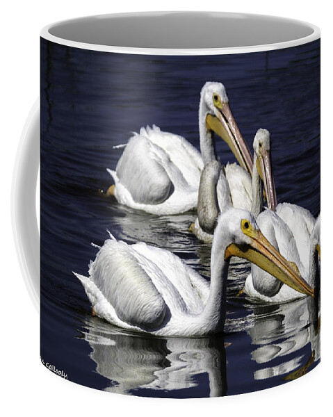 Pelicans Coffee Mug featuring the photograph White Pelicans Fishing by Fran Gallogly