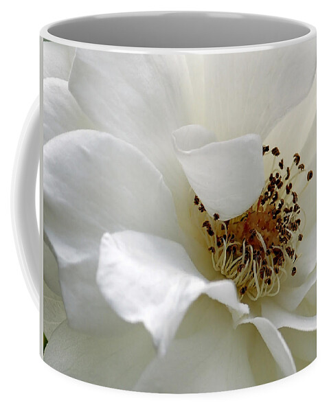 Flower Coffee Mug featuring the photograph White Petals by Michelle Joseph-Long
